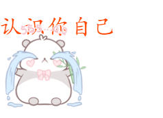 运行结果
